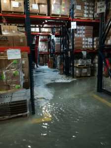 WhatsApp Image 2019-06-30 at 3.38.27 AM (3) - copia