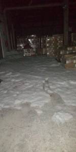 WhatsApp Image 2019-06-30 at 3.38.28 AM